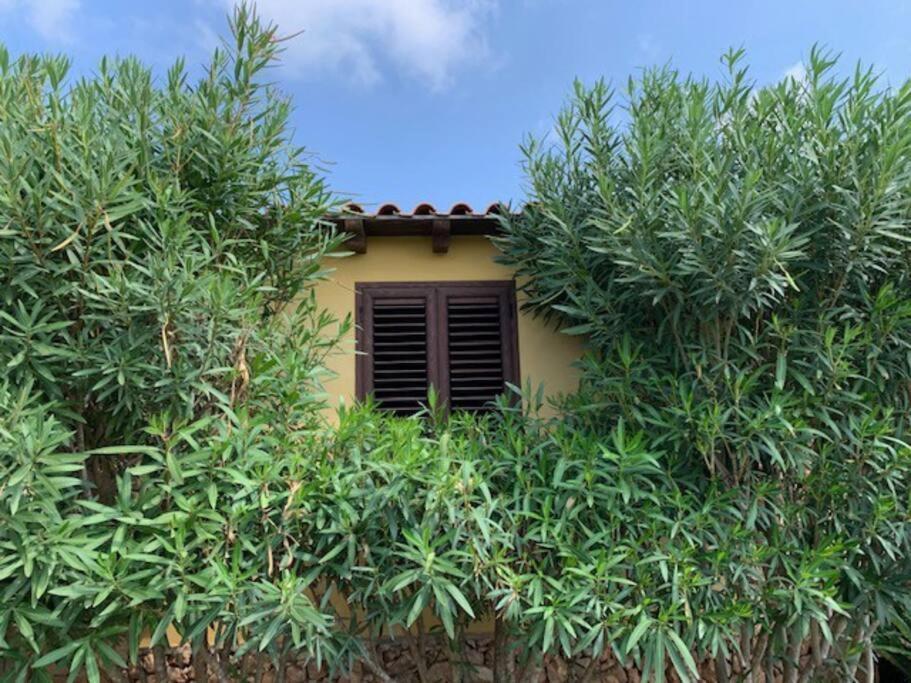 Villa Maveda, Un Dammuso Immerso Nel Verde Lampedusa Luaran gambar