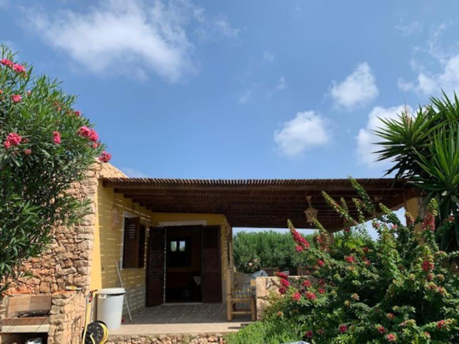 Villa Maveda, Un Dammuso Immerso Nel Verde Lampedusa Luaran gambar